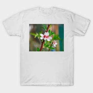 Almond Blossom T-Shirt